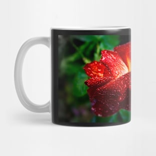 Raindrops on Roses Mug